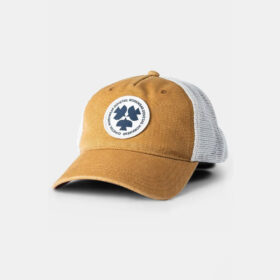 Dovetail Trucker Hat