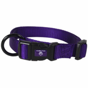 Hamilton Adjustable Dog Collar Purple 1" 18-26"