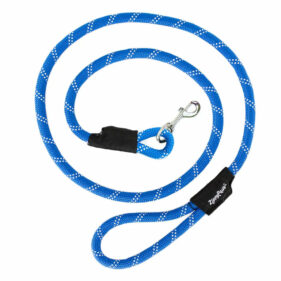 zippy paws leash