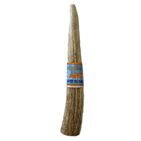 Wag It Forward Natural Drop Elk Antler Medium