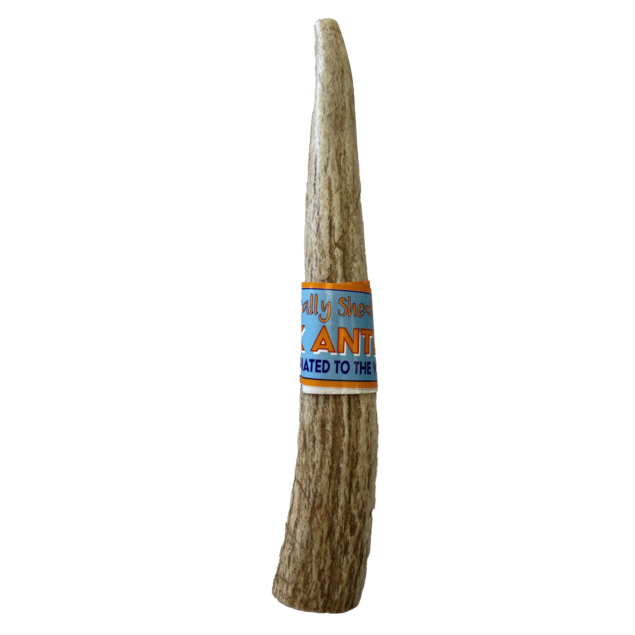 Wag It Forward Natural Drop Elk Antler Medium