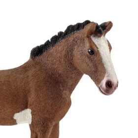 Clydesdale Foal