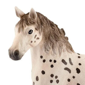 Knapstrupper Stallion