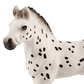 Knapstrupper Foal