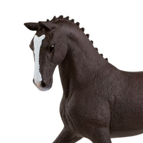 Hanoverian Mare