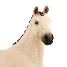 Hannoverian Gelding