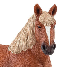 Belgian Draft Horse