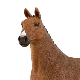Oldenburger Mare