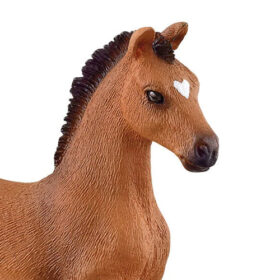 Oldenburger Foal