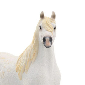 Arabian Mare