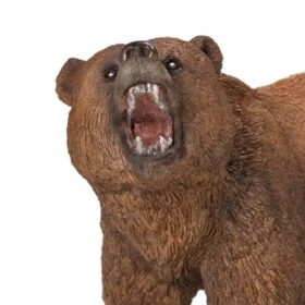 Grizzly Bear