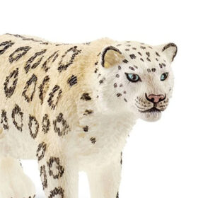 Snow Leopard