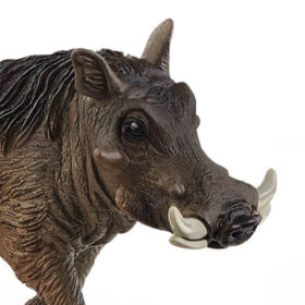 Warthog
