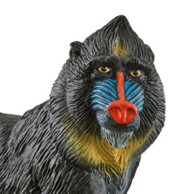 Mandrill