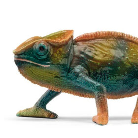 Chameleon
