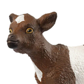 Goat Kid