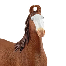 Marwari Mare