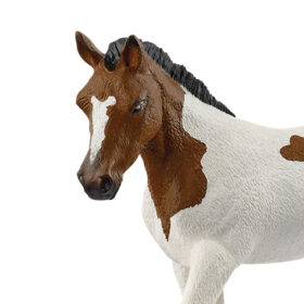 Paint Horse Foal 2