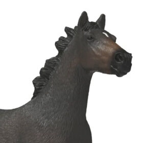 English Thoroughbred Mare