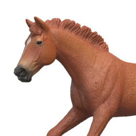 English Thoroughbred Stallion