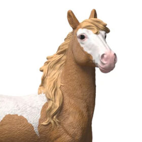 Mustang Mare