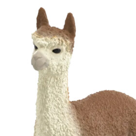 Alpaca