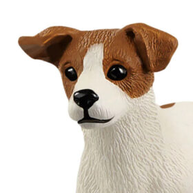 Jack Russell Terrier