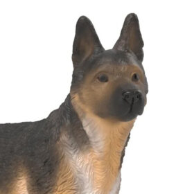 German Shepherd Female