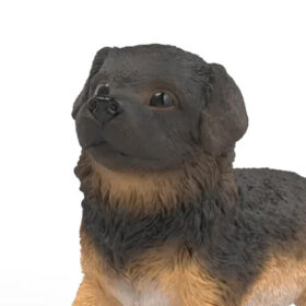 German Shepherd Puppy