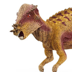 Pachycephalosaurus
