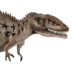 Carcharodontosaurus