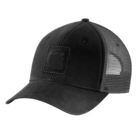 Carhartt Canvas Logo C Cap
