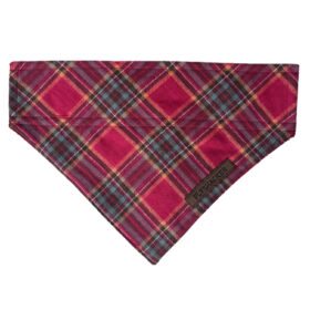 Flyshacker Dog Flandanna