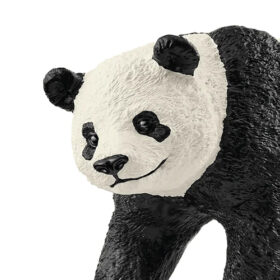 Giant Panda