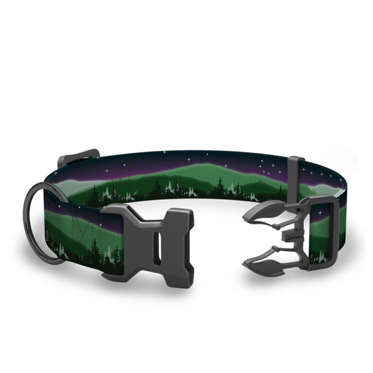 Collars & Leashes