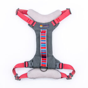 Wingo Monty Dog Harness - Baja Bars
