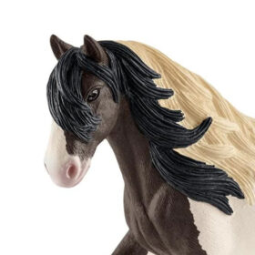 Tinker Stallion