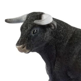 Black Bull
