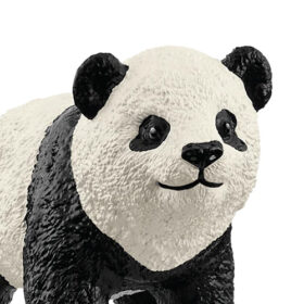 Giant Panda Cub