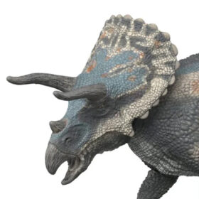 Triceratops 2