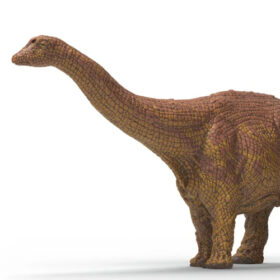 Brontosaurus 2