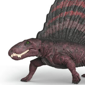 Dimetrodon