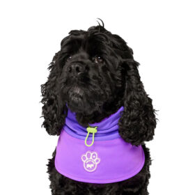 Canada Pooch Max Chill Cooling Snood