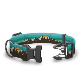 Wingo Coosa Dog Collar - Grand Teton